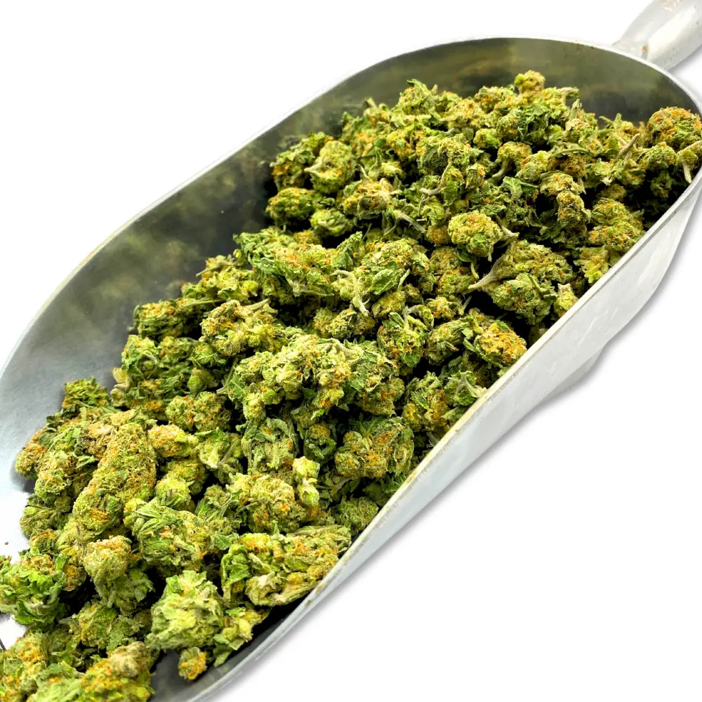 Cereal Milk THCA Flower (Smalls)