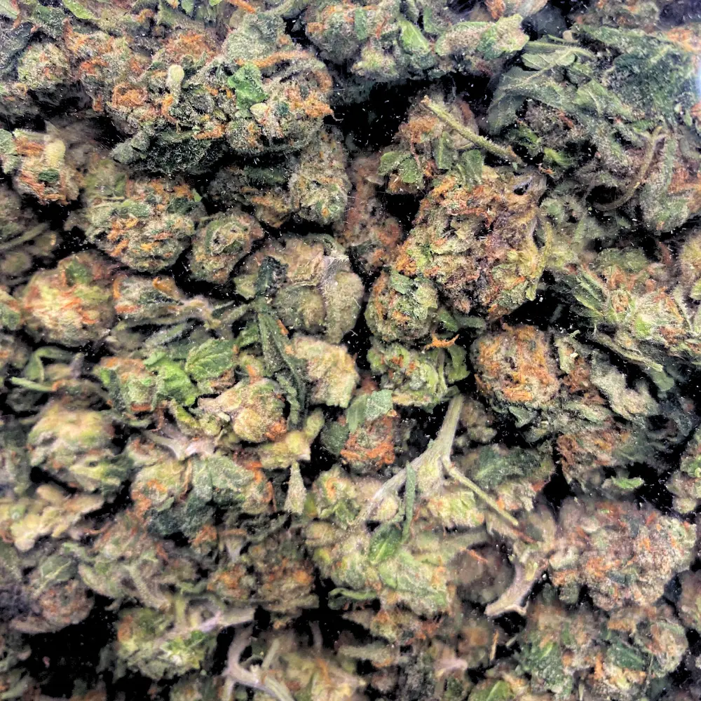 Cereal Milk THCA Flower (Smalls)