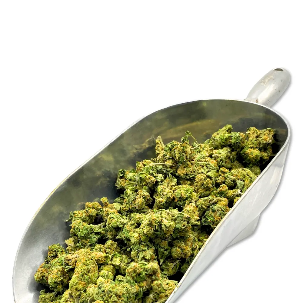 Cereal Milk THCA Flower (Smalls)