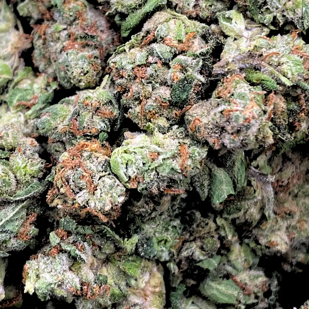 Lemon Fuel THCA Flower Smalls