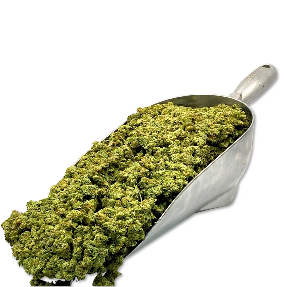 Lemon Fuel THCA Flower Smalls