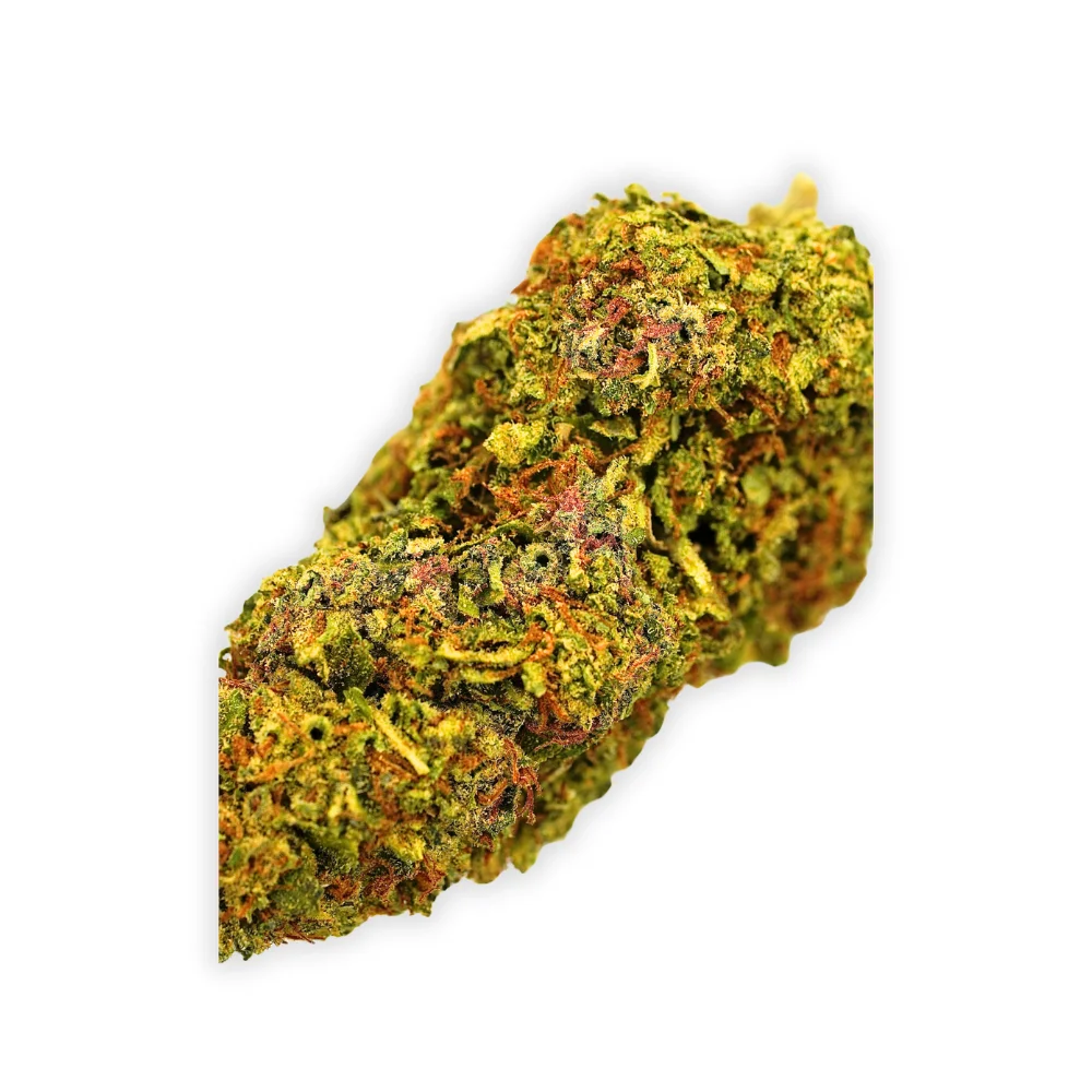 Gator Breath THCA Flower RL 1 (3)